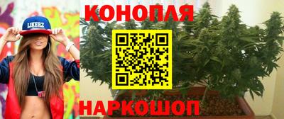 дживик Тверь