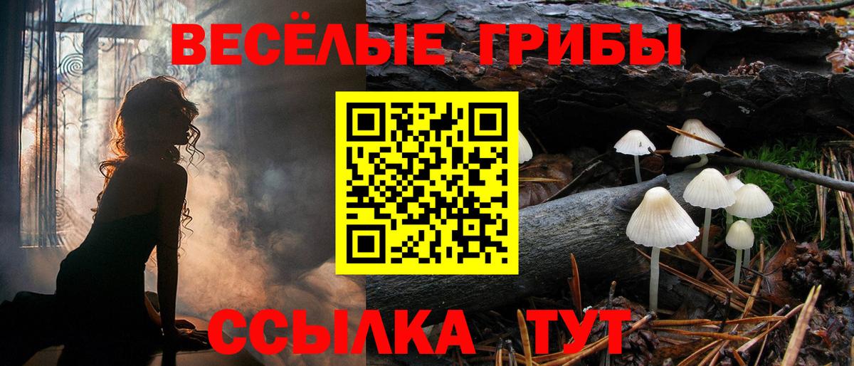 Псилоцибиновые грибы Magic Shrooms  Вход с VPN  Галлюциногенные грибы MAGIC MUSHROOMS  Алексеевка 