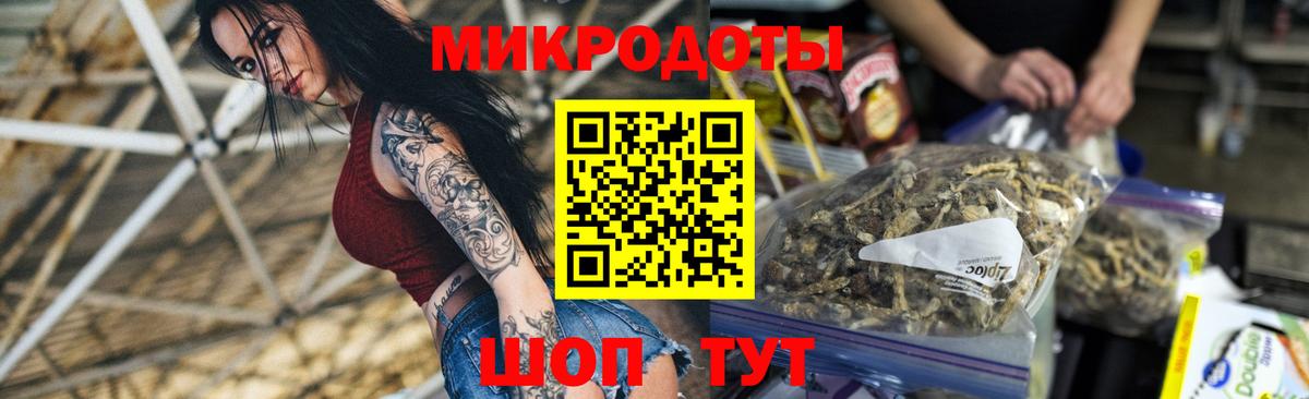 Псилоцибиновые грибы Psilocybine cubensis Алексеевка